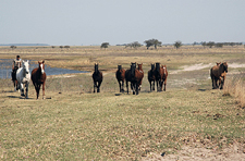 Argentina-Corrientes-Esquina Gaucho Week